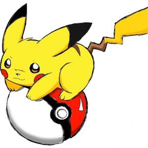 Meet your Posher, Leo